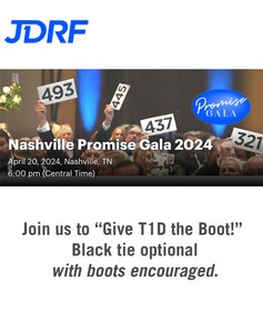 https://www.jdrf.org/tennessee/events/nashville-promise-gala-2024/